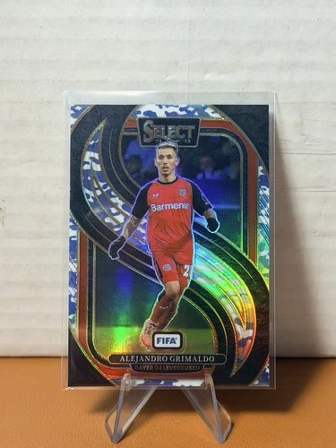Alex Grimaldo 2024 Panini Select Winter Camo Prizm /30