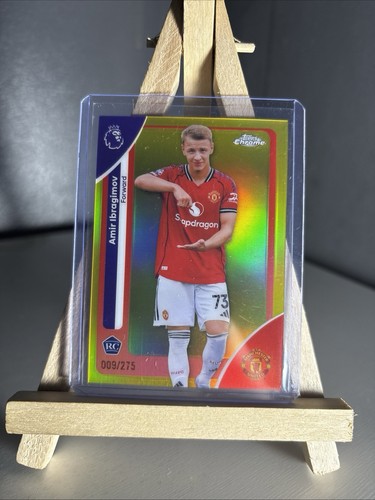 Amir Ibragimov 2009 Topps Chrome Premier League /275