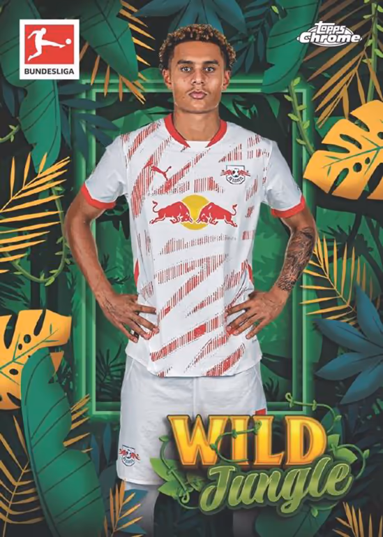 Anthony Jung 2024 Topps Bundesliga Stickers