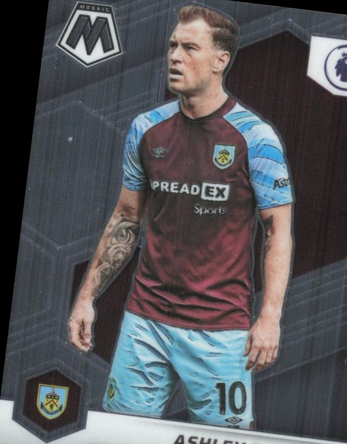 Ashley Barnes 2021 Panini Mosaic Premier League