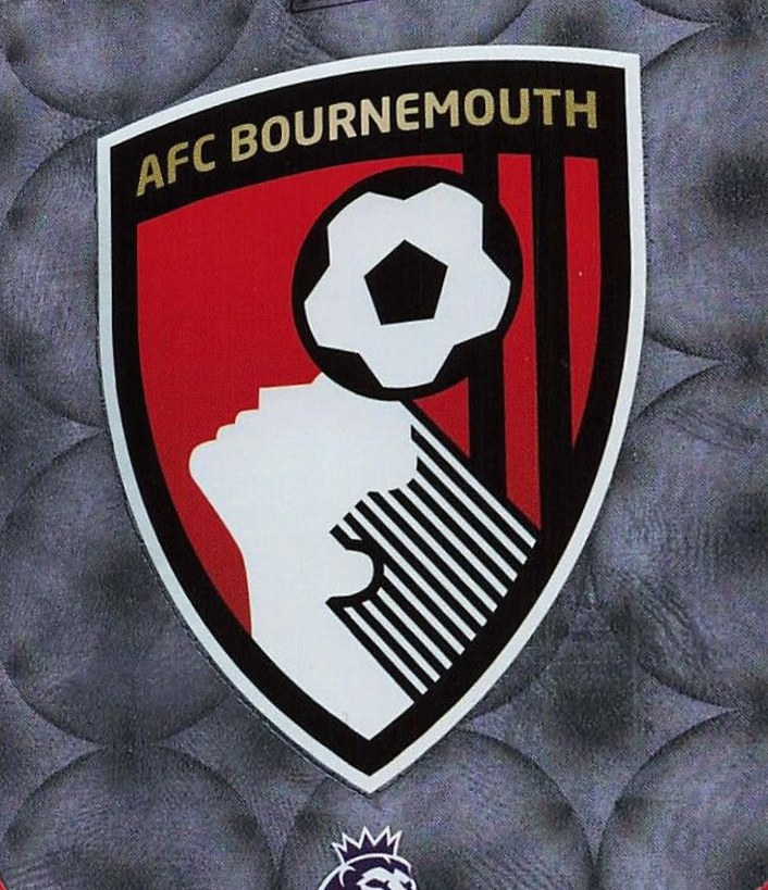 Badge 2024 Panini Adrenalyn XL Premier League