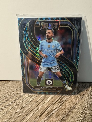 Bernardo Silva 2024 Panini Select Dragon Scale /48