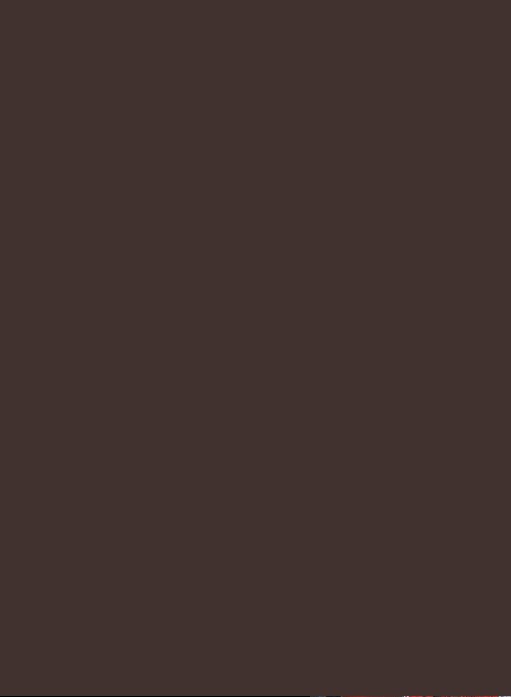 Callum Hudson Odoi 2024 Panini Prizm Premier League