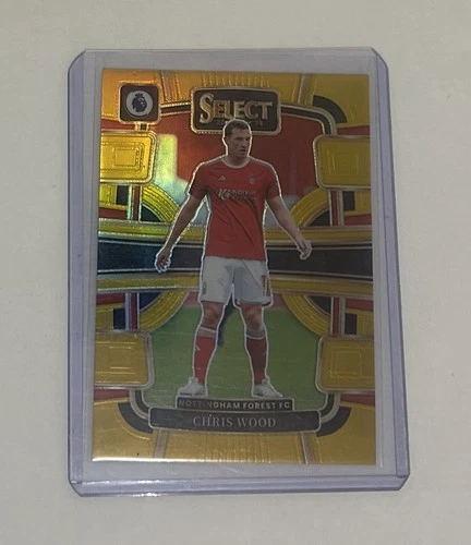 Chris Wood 2023 Panini Prizm Gold /10