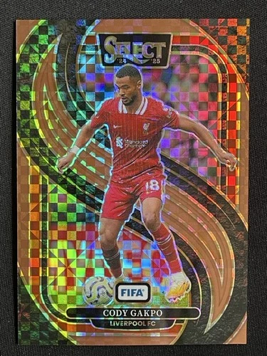 Cody Gakpo 2024 Panini Select FIFA Bronze Checker /75