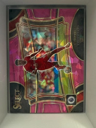 Cody Gakpo 2023 Panini Select Pink Ice #236