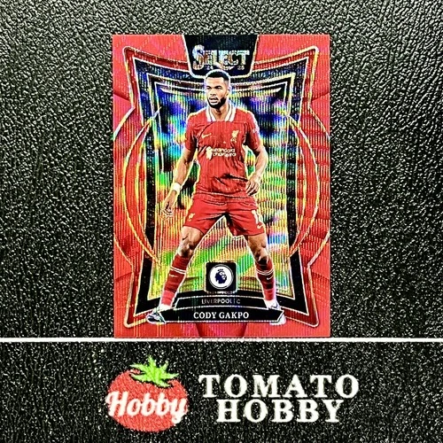 Cody Gakpo 2024 Panini Select Premier League Red Wave Refractor /88