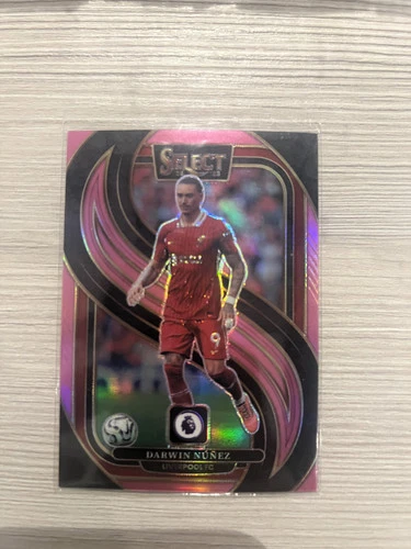 Darwin Nunez 2024 Panini Select /99