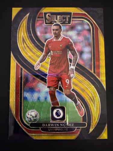Darwin Nunez 2024 Panini Select Gold Wave /10