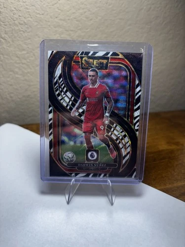 Darwin Nunez 2024 Panini Select Premier League Zebra Prizm