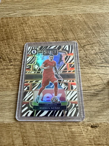 Darwin Nunez 2023 Panini Select Zebra /25