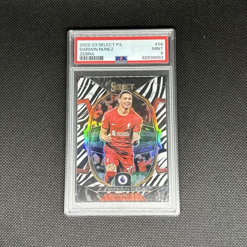 Darwin Nunez 2023 Panini Select Zebra /25
