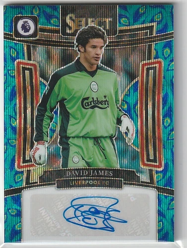 David James 2023 Panini Select Peacock
