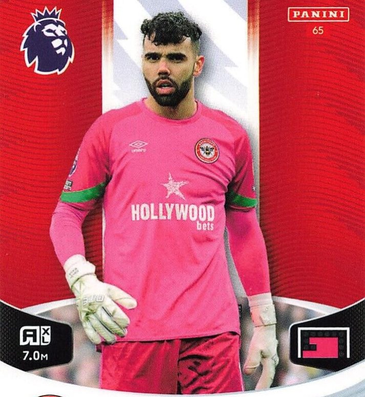 David Raya 2024 Panini Adrenalyn XL Premier League