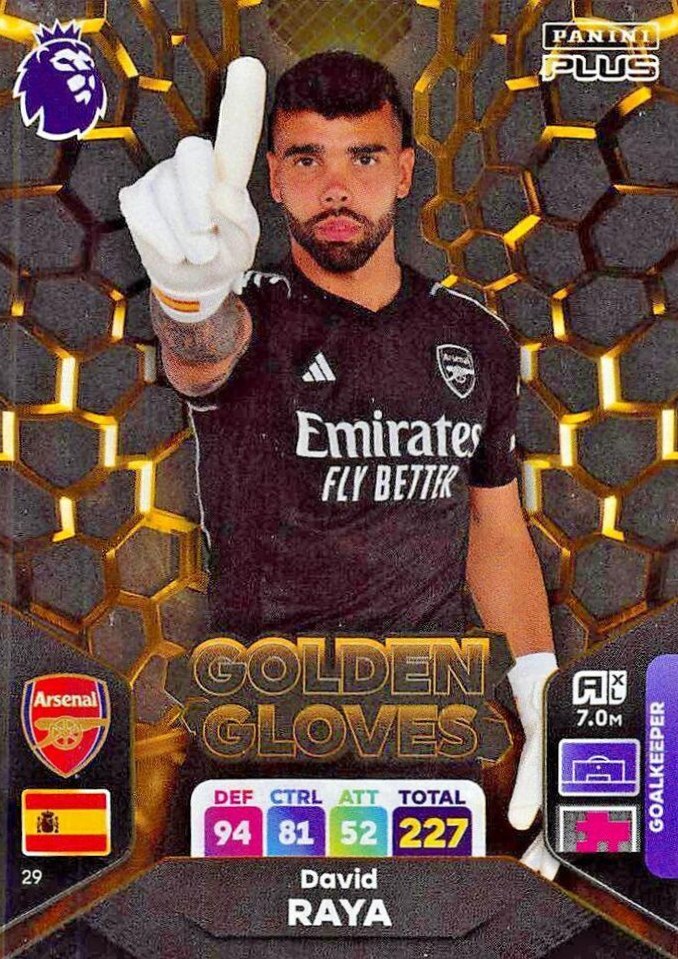David Raya 2024 Panini Adrenalyn XL Premier League Plus