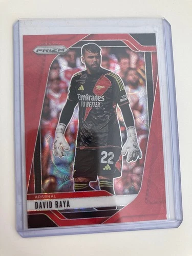David Raya 2024 Panini Prizm Premier League Parallel /30
