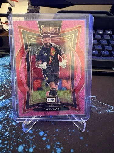 David Raya 2024 Panini Select /299