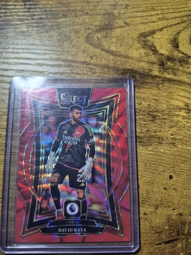 David Raya 2024 Panini Select Red Wave /88