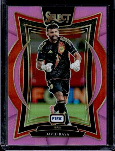 David Raya 2024 Panini Seleziona FIFA /59