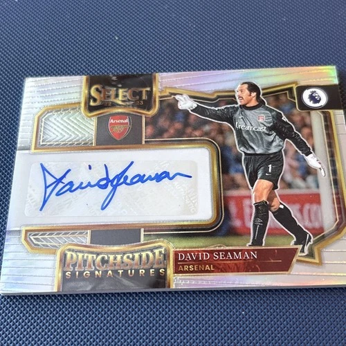 David Seaman 2022 Panini Select