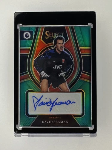 David Seaman 2022 Panini Select /5