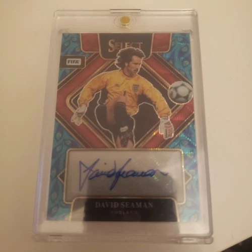 David Seaman 2023 Panini Select Peacock