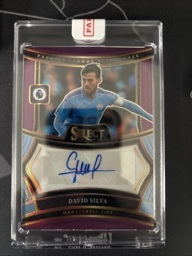 David Silva 2024 Panini Select Purple Prizm
