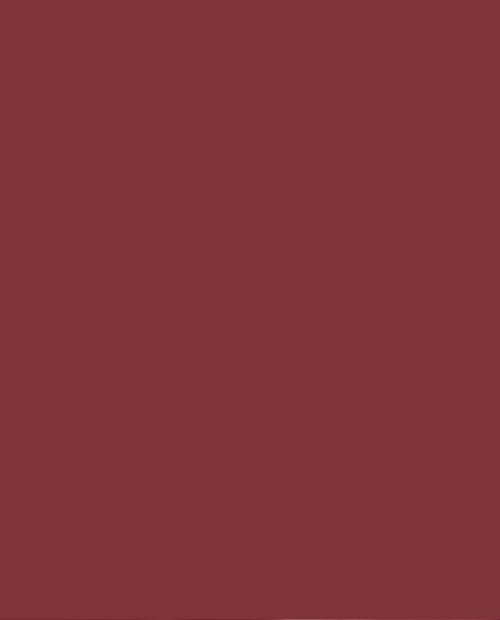 Declan Rice 2024 Panini Adrenalyn XL Premier League