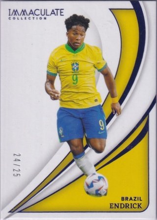 Endrick 2024 Panini Immaculate Collection