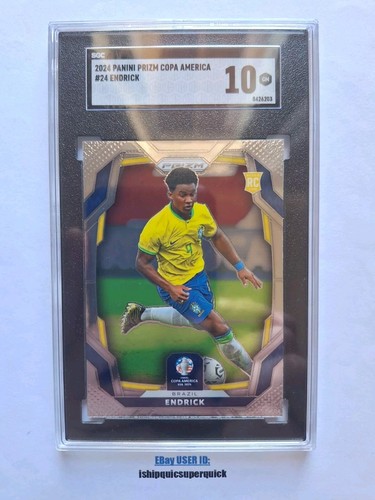 Endrick 2024 Panini Prizm #24