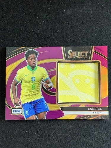 Endrick 2024 Panini Select Purple /49