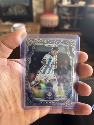 Enzo Fernandez 2024 Panini Prizm Elephant Skin