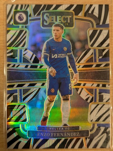 Enzo Fernandez 2023 Panini Select Zebra /25