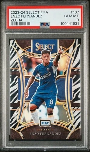 Enzo Fernández 2023 Panini Select Zebra /25
