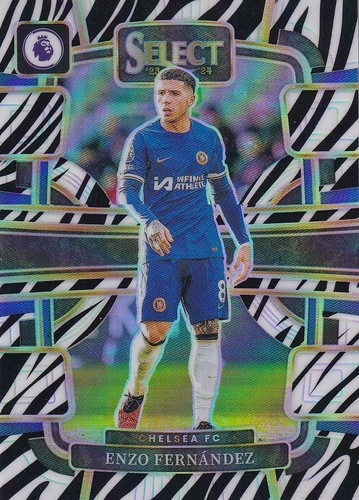 Enzo Fernández 2024 Panini Select Zebra /25