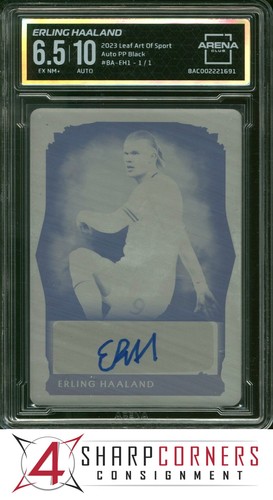 Erling Haaland 2023 Panini Art of Sport Black 1/1