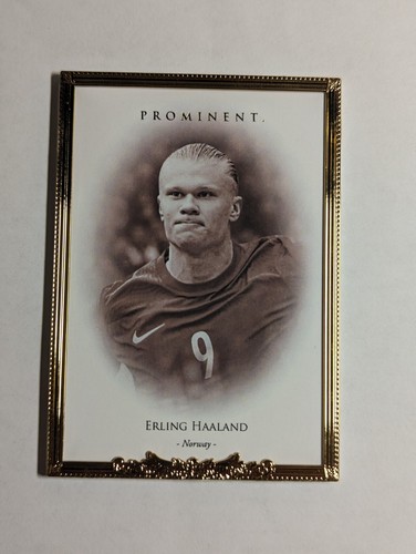 Erling Haaland 2022 Panini Futera Prominent /14
