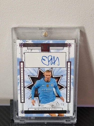 Erling Haaland 2025 Panini Impeccable /75