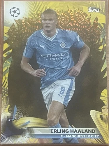 Erling Haaland 2024 Topps Jade UEFA Gold Refractor /50