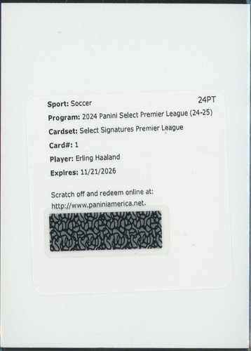 Erling Haaland 2024 Panini Select