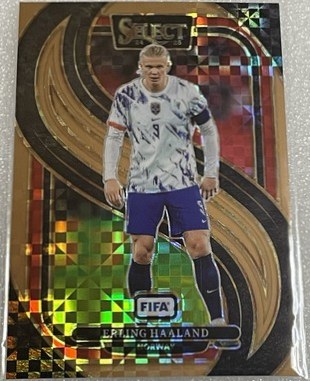 Erling Haaland 2024 Panini Select Bronze Checker /125