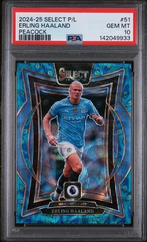 Erling Haaland 2024 Panini Select Peacock