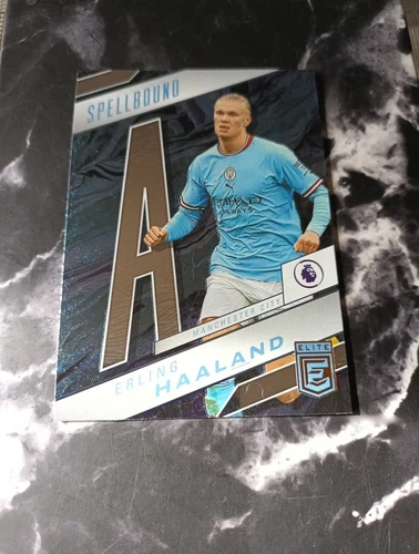 Erling Haaland 2023 Panini Spellbound