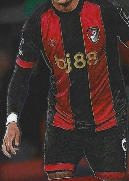 Evanilson 2024 Panini Prizm Premier League