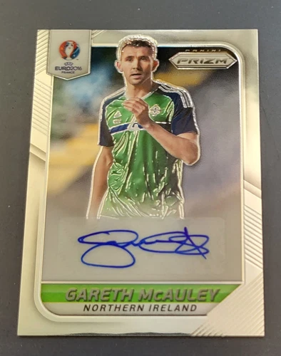 Gareth McAuley 2016 Panini UEFA Euro France #1