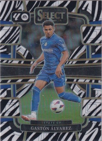 Gaston Alvarez 2024 Panini Select Zebra Prizm /25