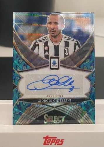 Giorgio Chiellini 2024 Panini Select Peacock