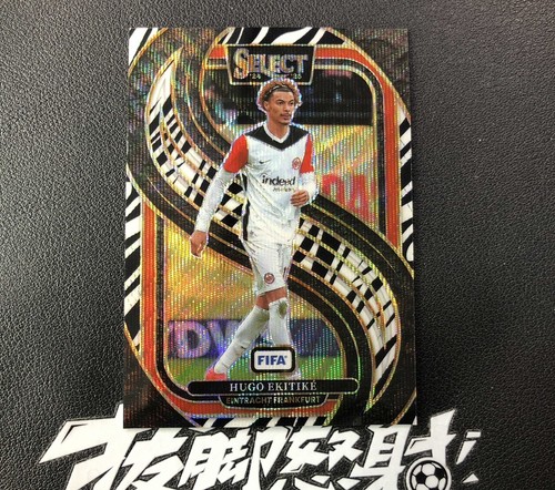 Hugo Ekitike 2024 Panini Select FIFA Zebra Prizm /123