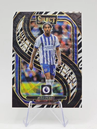 Joao Pedro 2024 Panini Select Zebra Wave