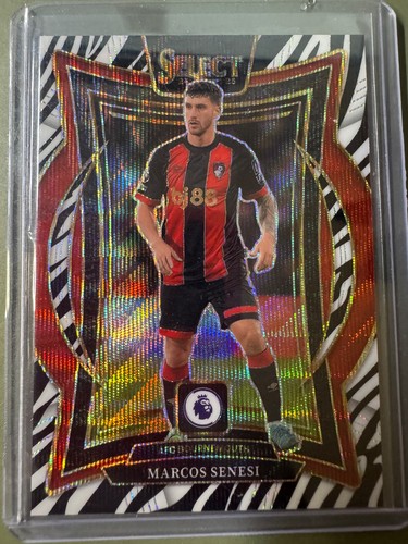 Marcos Sensi 2024 Panini Select Zebra